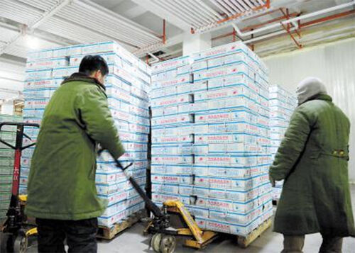 Immagazzinamento a freddo